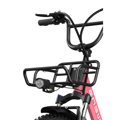 Engwe L20 15.5mph Top Speed, 140KM Range, 250W, 34KG, 20"