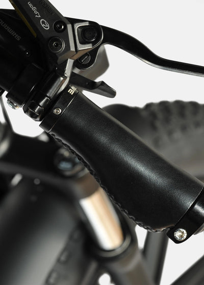 Engwe Engine Pro 48V/16Ah 750W Electric Bike