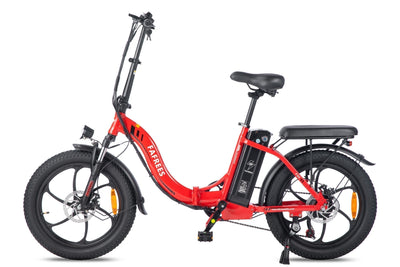 Fafrees F20 250W 20" Folding Electric Bike 16Ah City E-Bike