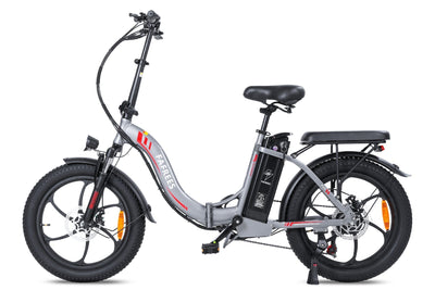 Fafrees F20 250W 20" Folding Electric Bike 16Ah City E-Bike