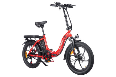 Fafrees F20 250W 20" Folding Electric Bike 16Ah City E-Bike