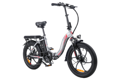 Fafrees F20 250W 20" Folding Electric Bike 16Ah City E-Bike