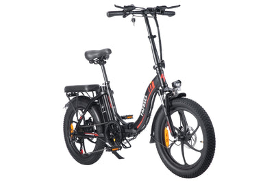 Fafrees F20 250W 20" Folding Electric Bike 16Ah City E-Bike