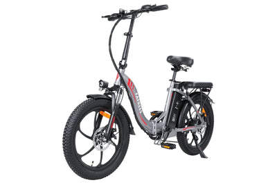 Fafrees F20 250W 20" Folding Electric Bike 16Ah City E-Bike